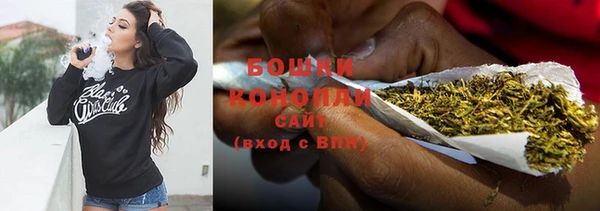 стаф Бородино