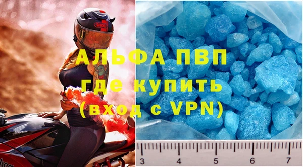 стаф Бородино