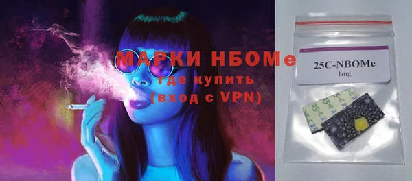 стаф Бородино