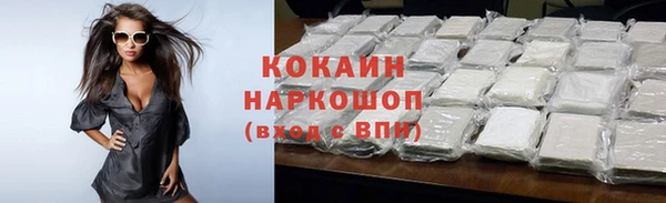 стаф Бородино