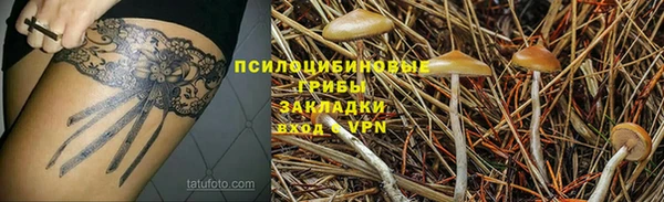 стаф Бородино