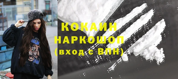 стаф Бородино