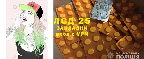 стаф Бородино