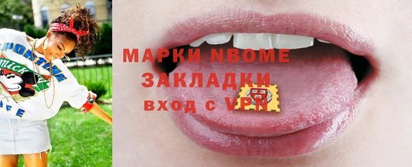 стаф Бородино